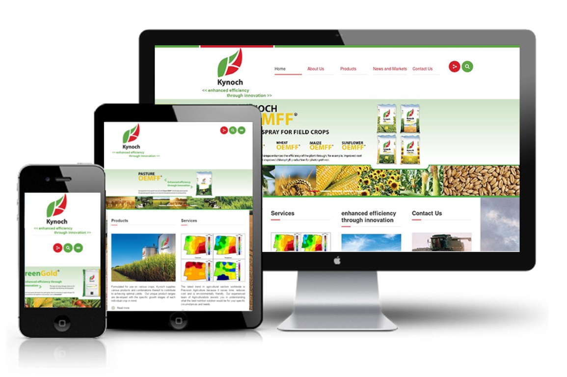 paginas web, diseño web, website, desarrollo web